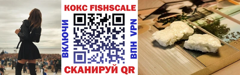 Cocaine Fish Scale  даркнет Telegram  Пустошка 