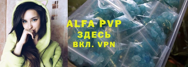индика Арсеньев