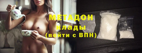 индика Арсеньев