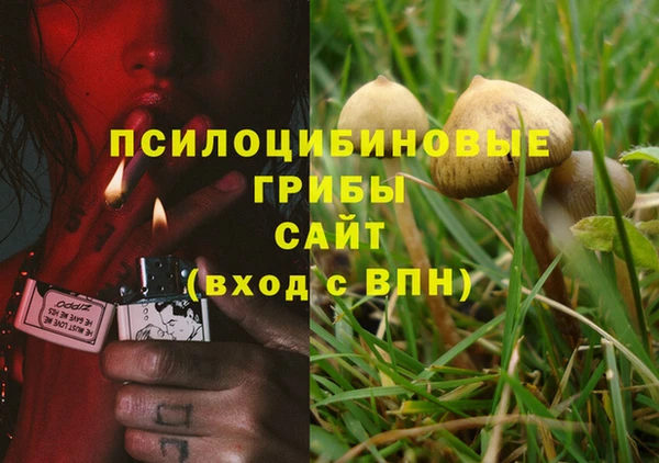 jwh Армянск