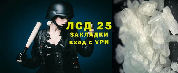 индика Арсеньев
