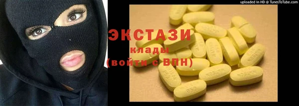 индика Арсеньев