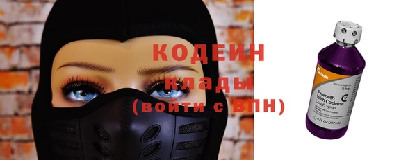 индика Арсеньев