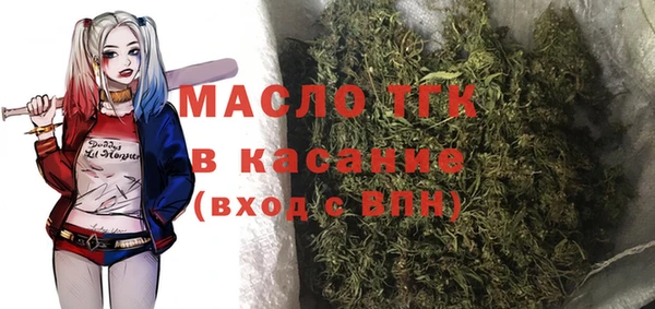 индика Арсеньев