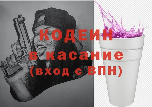 индика Арсеньев
