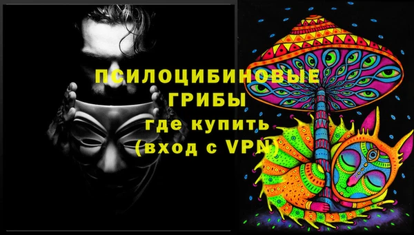 индика Арсеньев