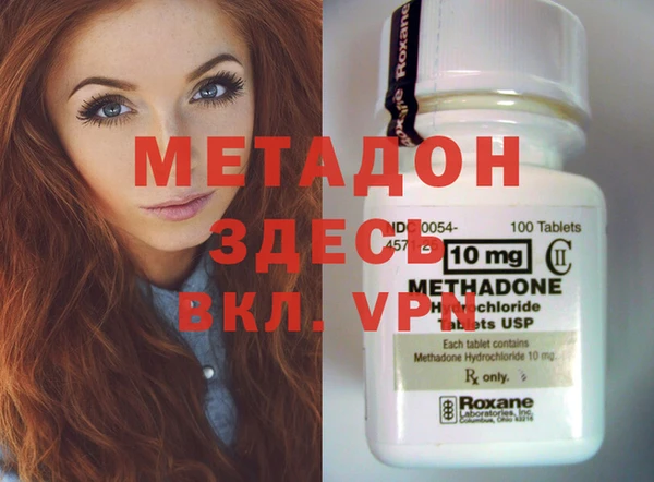индика Арсеньев