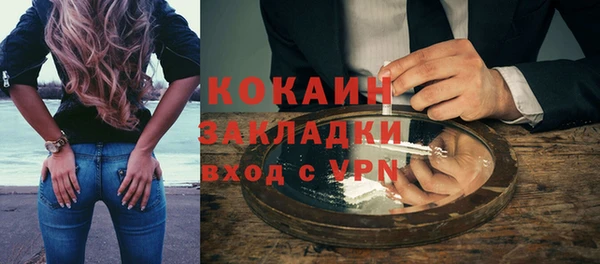 индика Арсеньев