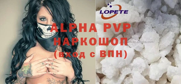 индика Арсеньев